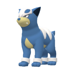 #228 Houndour